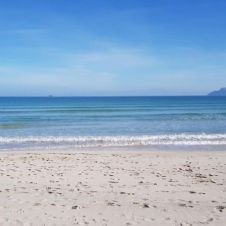 Ideal Property Mallorca - Delicias Alcúdia Eksteriør bilde