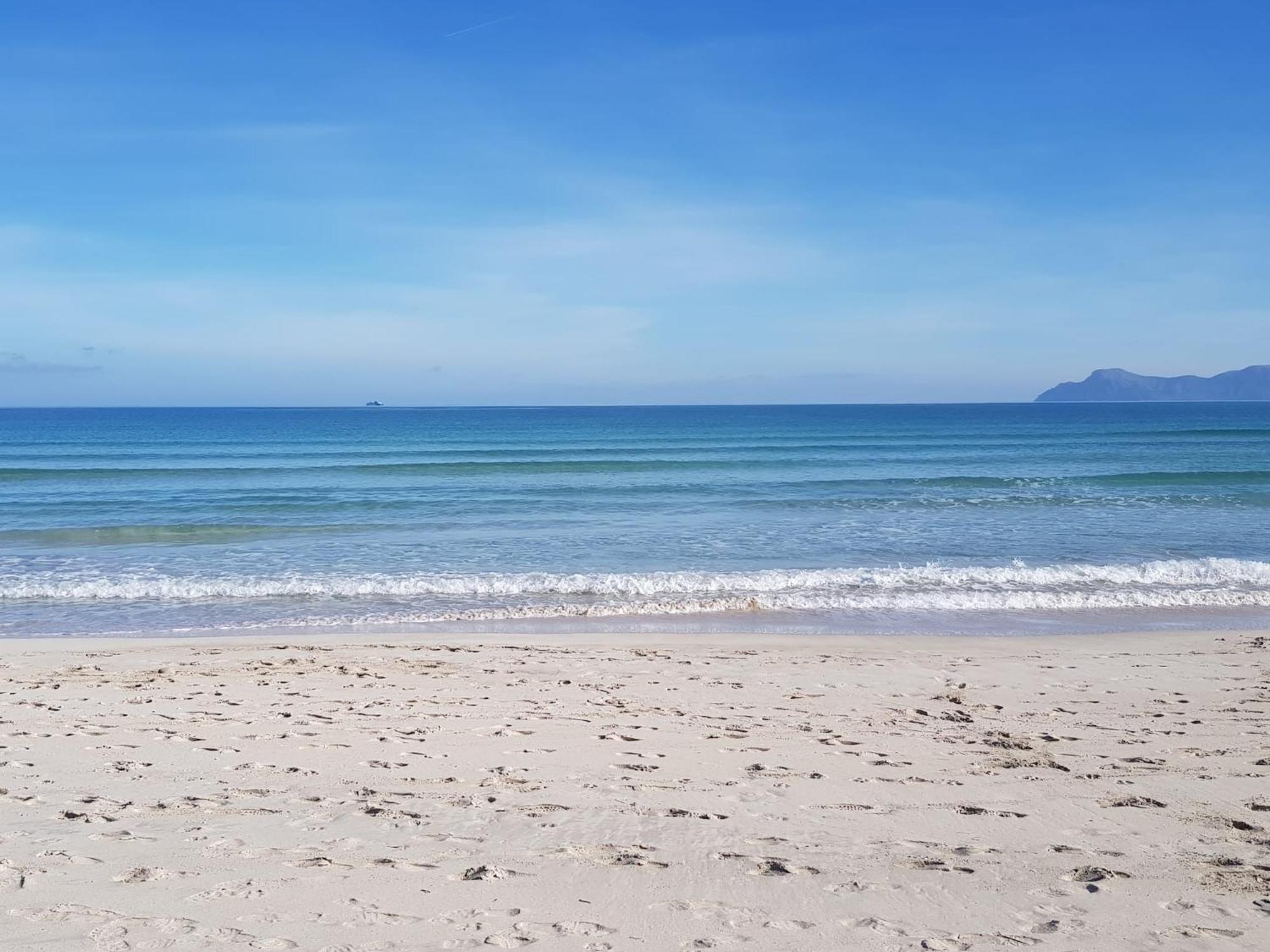 Ideal Property Mallorca - Delicias Alcúdia Eksteriør bilde